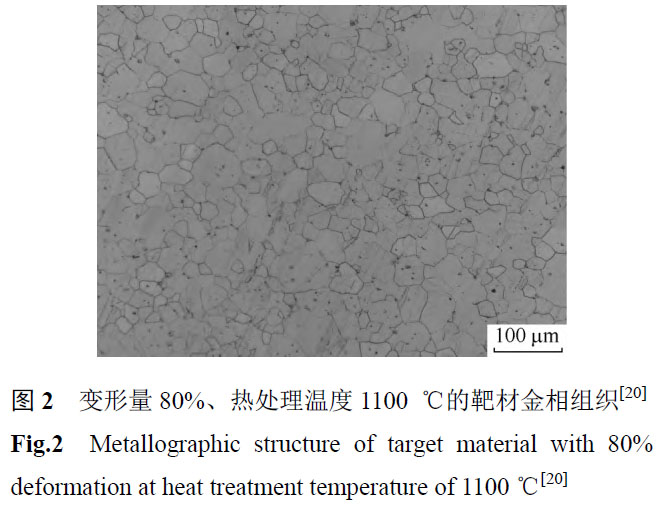 1676089197814775.jpg mt2.jpg