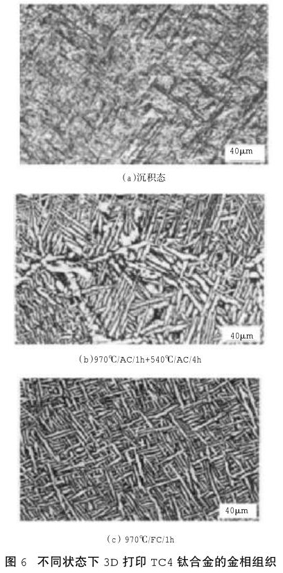 1686235640406194.jpg t6.jpg