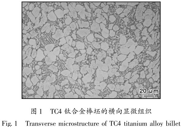 1686564207677187.jpg t1.jpg