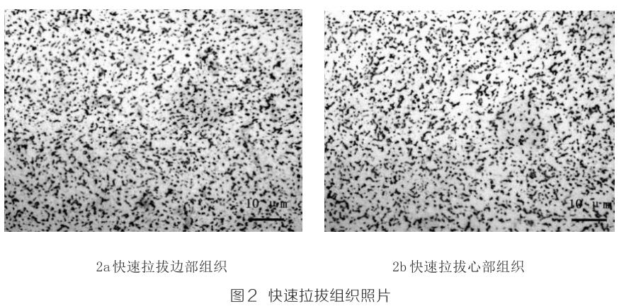 1694747514251250.jpg t2.jpg