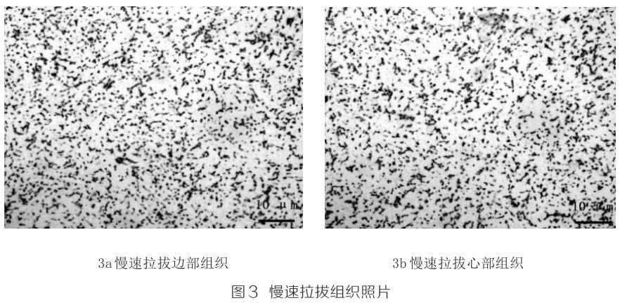 1694747521620807.jpg t3.jpg