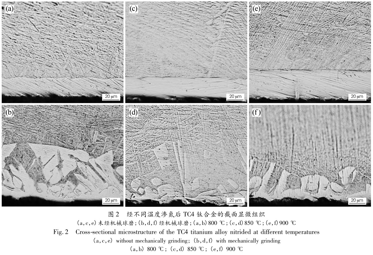1706185524604731.jpg t2.jpg