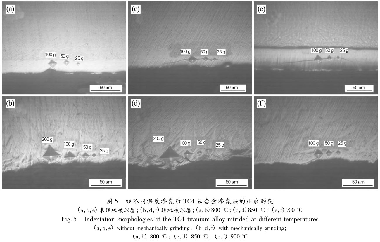 1706185569758138.jpg t5.jpg