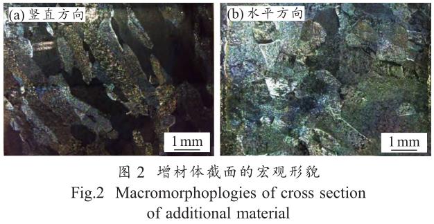 1706191491847472.jpg t2.jpg