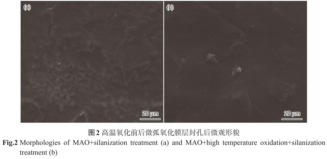 1706237626981050.jpg t2.jpg