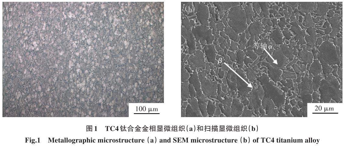 1700448901668558.jpg t1.jpg