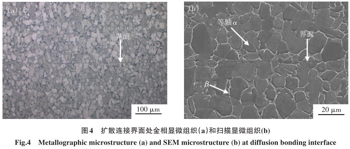 1700448939641452.jpg t4.jpg