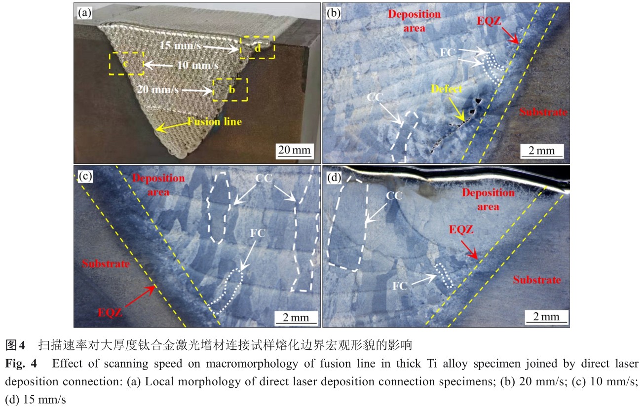 1725354915336755.jpg t4.jpg