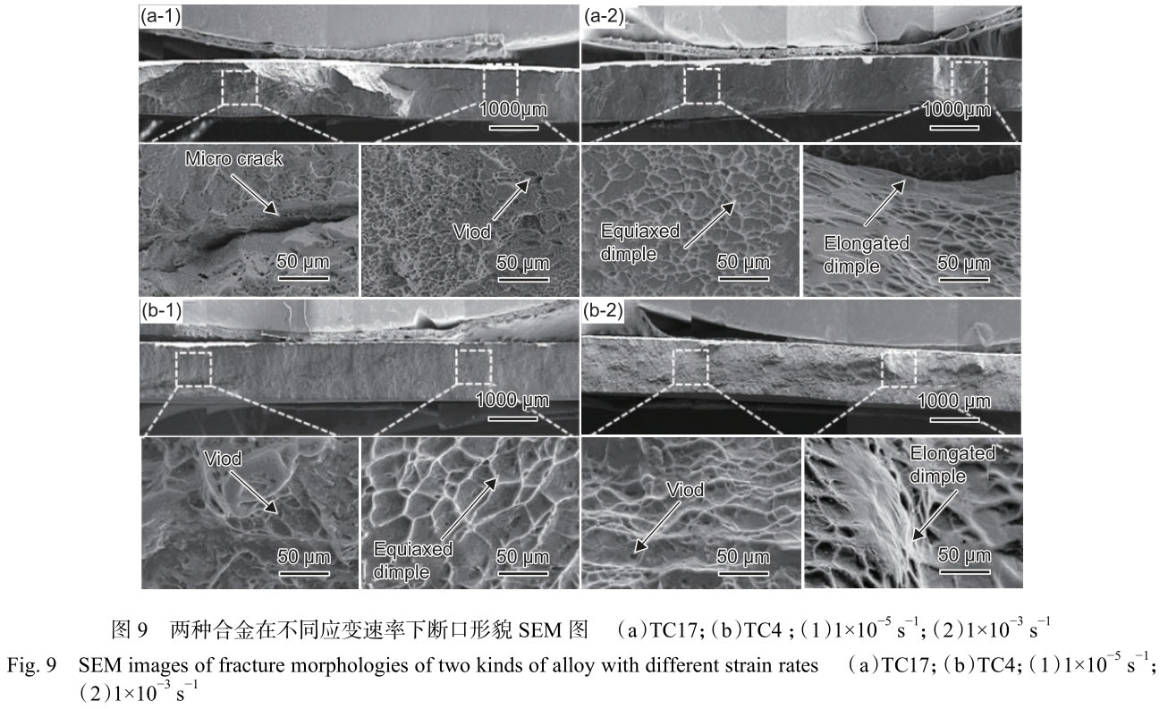 1699878653397422.jpg t9.jpg