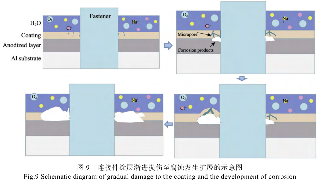 1728034779429046.jpg t9.jpg