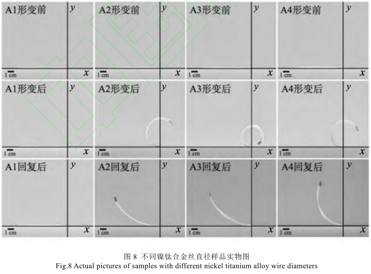 1729848481468402.jpg 8.jpg