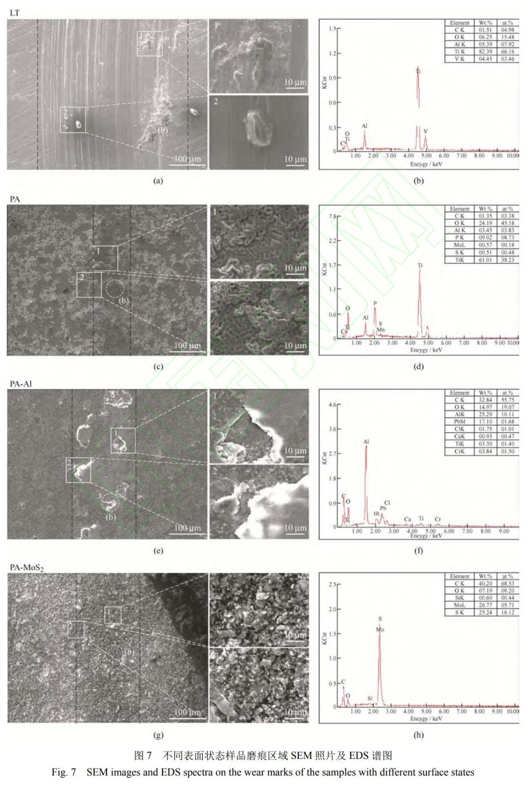 1732346333507007.jpg 7.jpg