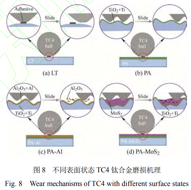 1732346343394599.png 8.png