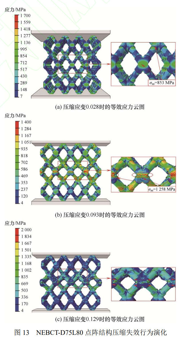 1761135752223463.jpg 13.jpg