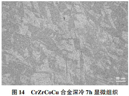 1769310931844773.png 14.png