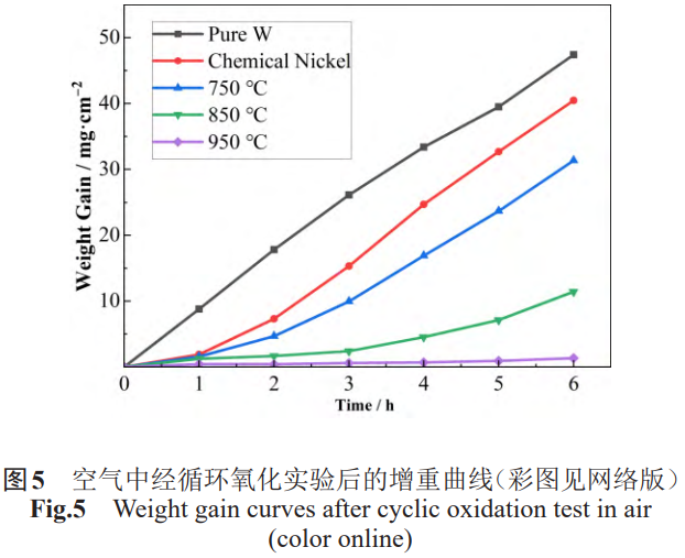 1773576487673986.png 5.png