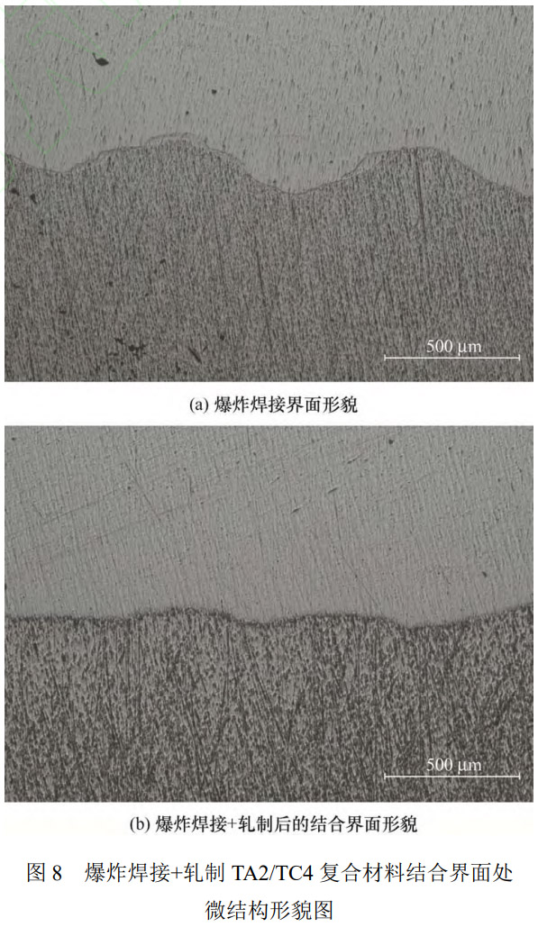 1773627738949768.jpg 8.jpg