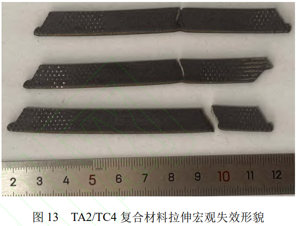 1773627781924038.png 13.png